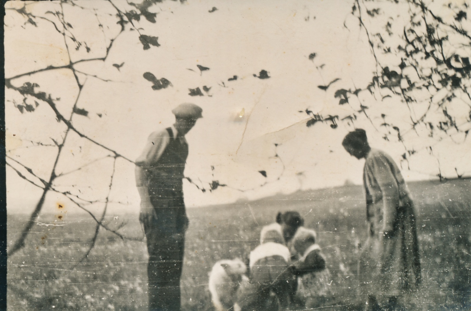 Bedstefar og bedstemor